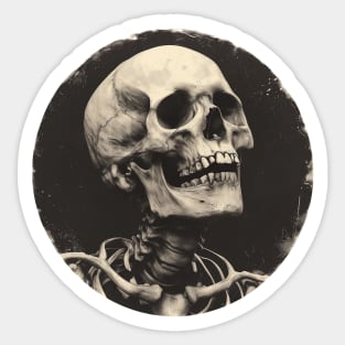 Haunting Horizons: Gothic Retro Skull in Upward Contemplation Sticker